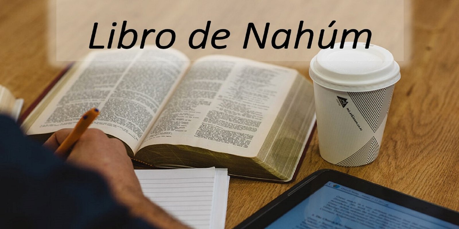 Nahúm 3:1-19