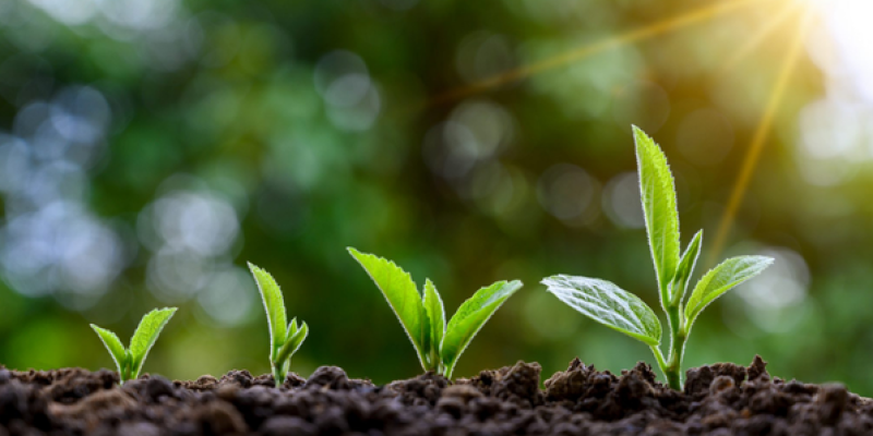 Imagen 597x300 para WebSite (1)